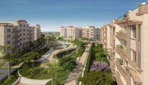 ذايد الجديدة image
